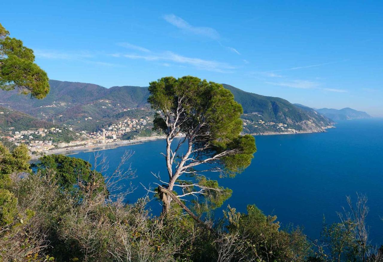 M'Illumino D'Immenso - Moneglia Apartments Bagian luar foto